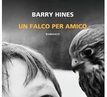 Un falco per amico