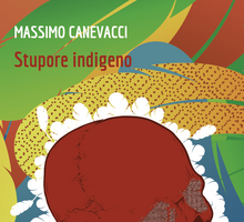 Stupore indigeno. Le culture native in Brasile tra rituali iniziatici e sfide digitali