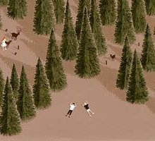 Due fratelli, una foresta