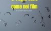 Ti voglio bene come nei film