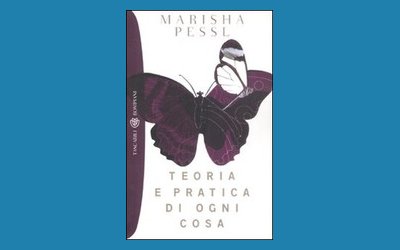 Teoria e pratica di ogni cosa