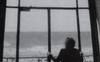 La vita tranquilla