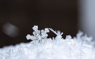 “Fior di neve” di Umberto Saba: la poesia dedicata alle meraviglie della natura e magia della neve