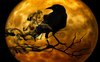 “Il corvo” di Edgar Allan Poe: la dicotomia tra Eros e Thanatos nell'arte