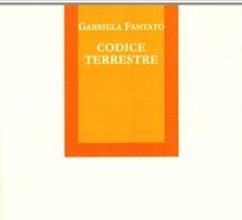 Codice terrestre