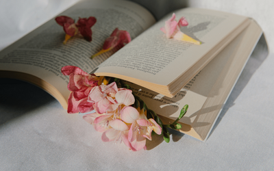 Aprile 2023: 15 libri in uscita da non perdere