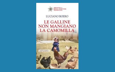 Le galline non mangiano la camomilla