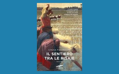 Il sentiero tra le risaie