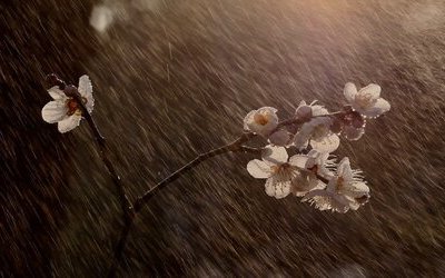 La “pioggia d'aprile” nelle poesie di Saba e Pirandello