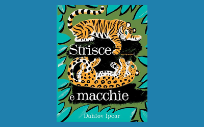 Strisce e macchie