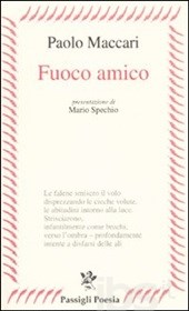 Fuoco amico