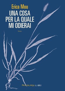 Una cosa per la quale mi odierai