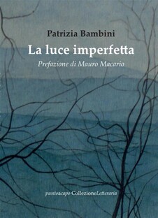 La luce imperfetta