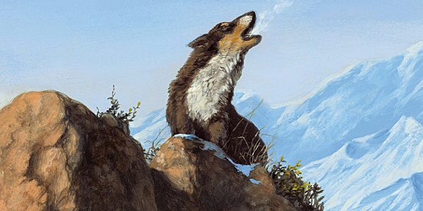 In libreria in grande formato “Il richiamo della foresta” di Jack London