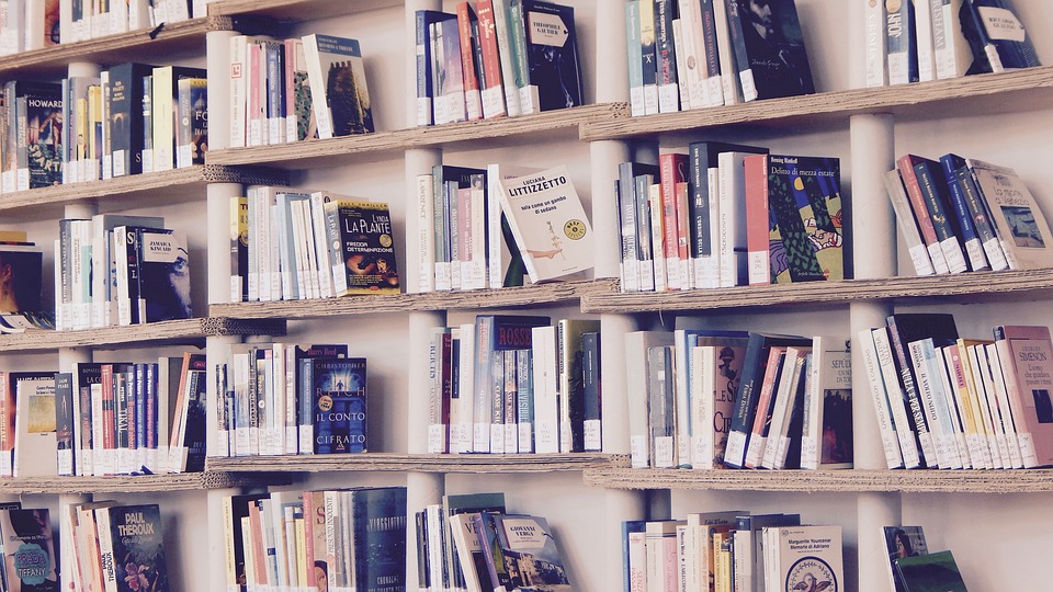 Tetto massimo per gli sconti su Amazon: M5S e Lega provano a salvare le librerie