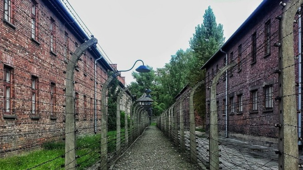 I saggi sulla Shoah da leggere nel Giorno della memoria