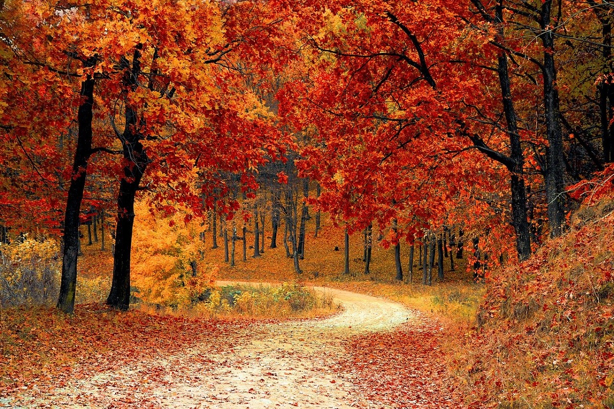7 libri con autunno nel titolo