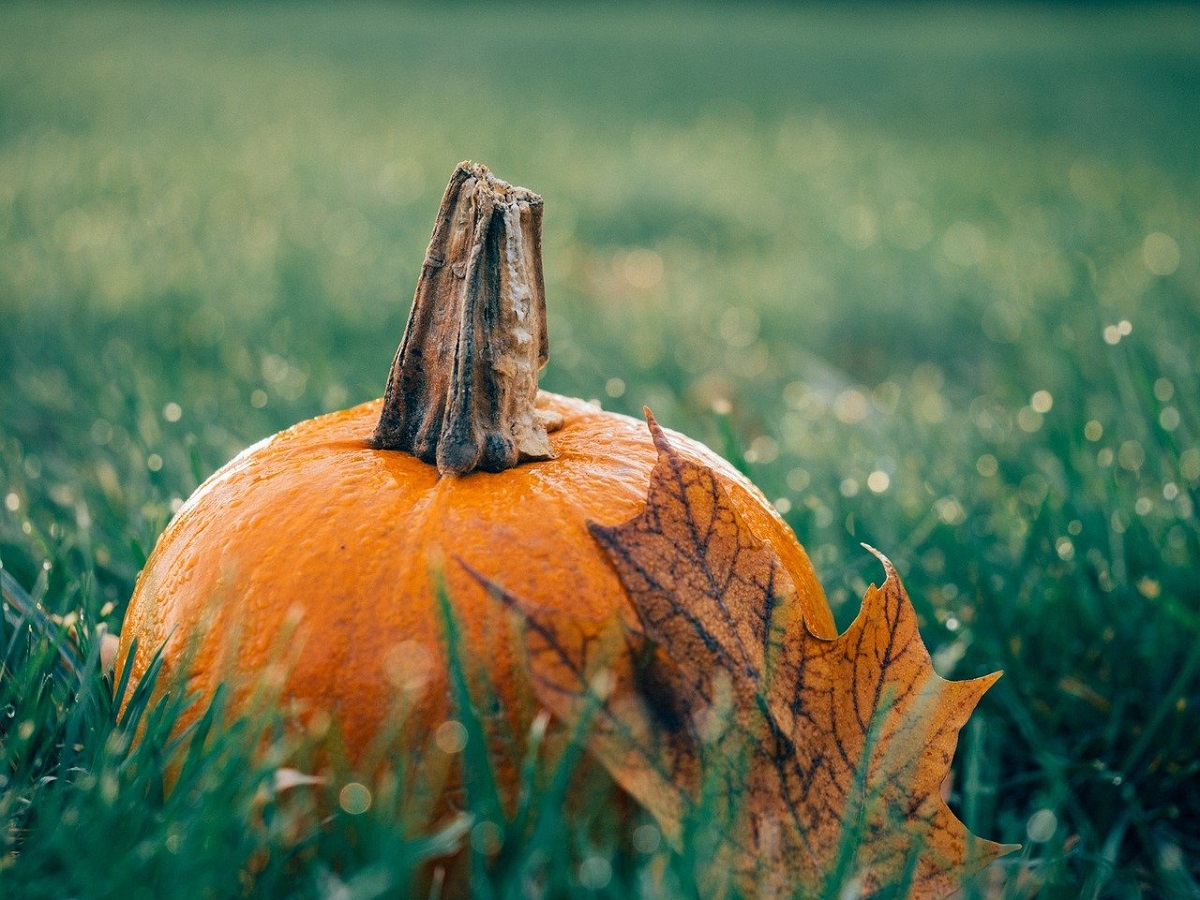 5 libri con "ottobre" nel titolo