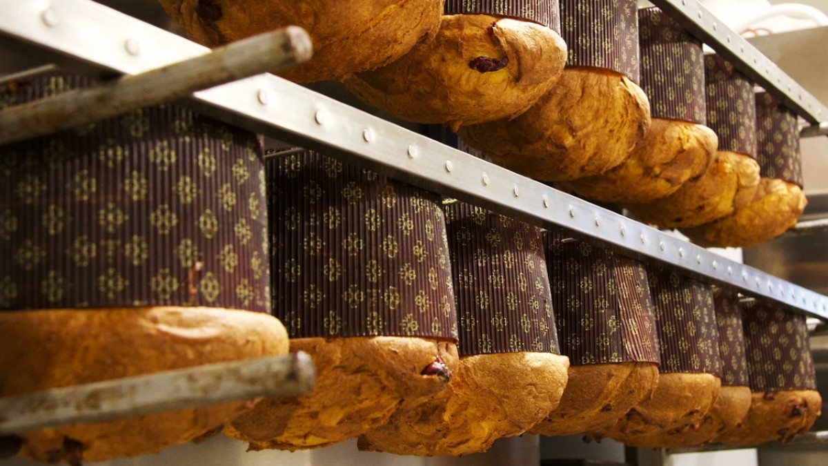 Panettone e pandoro: perché si chiamano così?