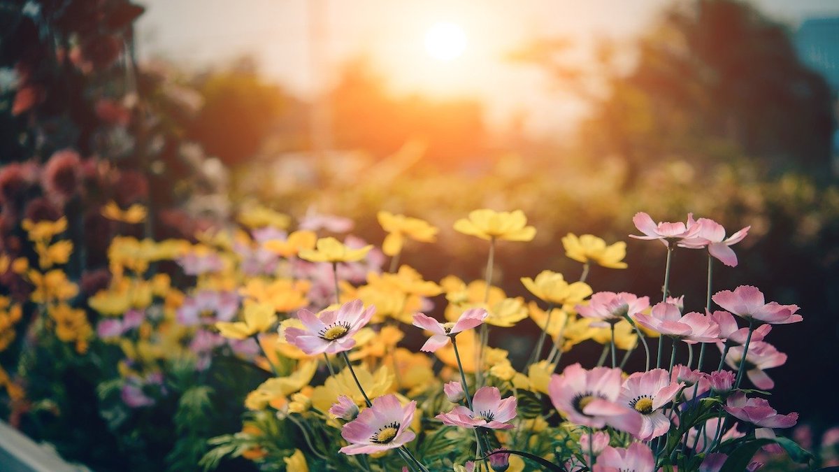 “Marzo”: la poesia di Vincenzo Cardarelli che celebra la primavera