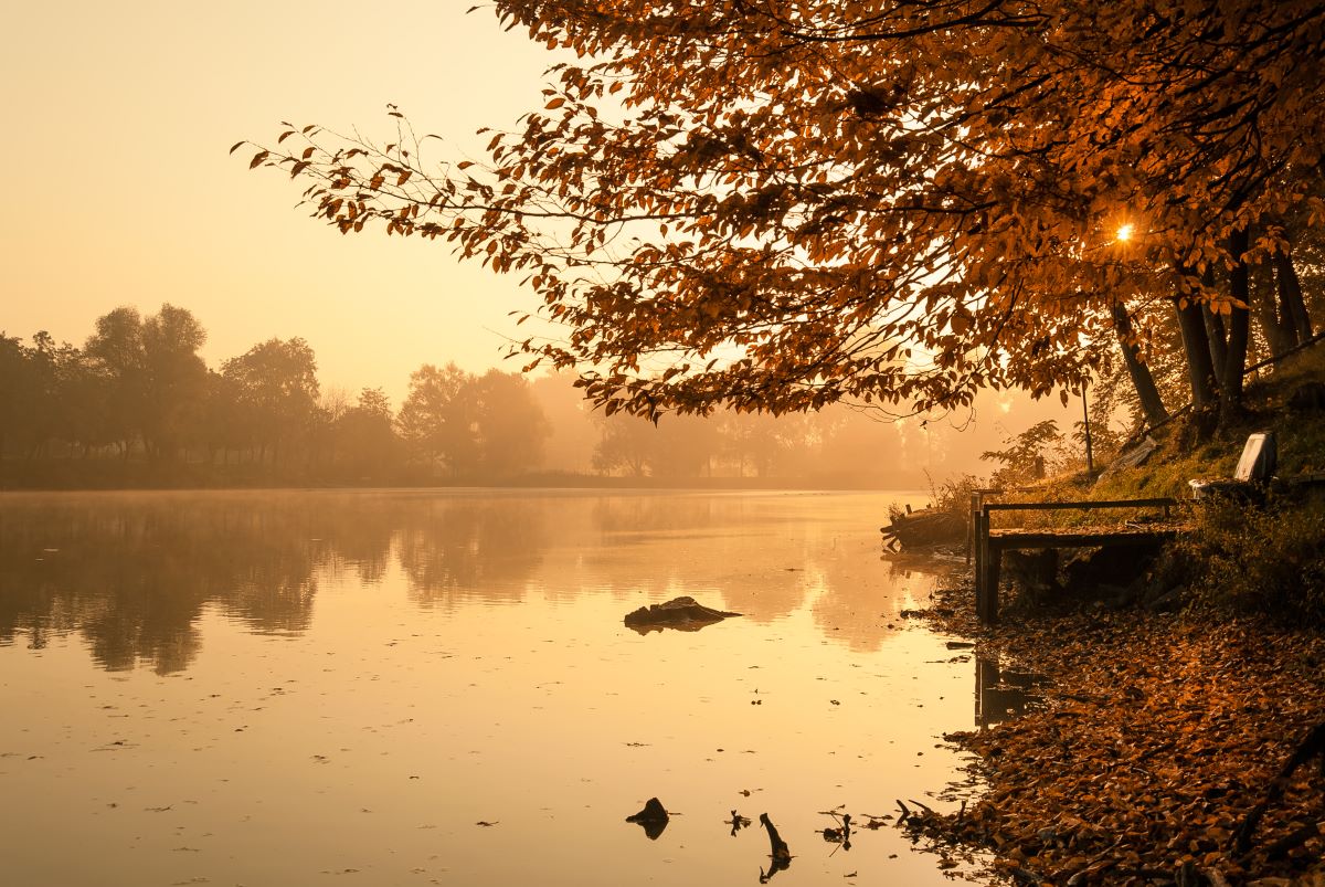 “Sera d'ottobre”: la poesia d'autunno di Giovanni Pascoli