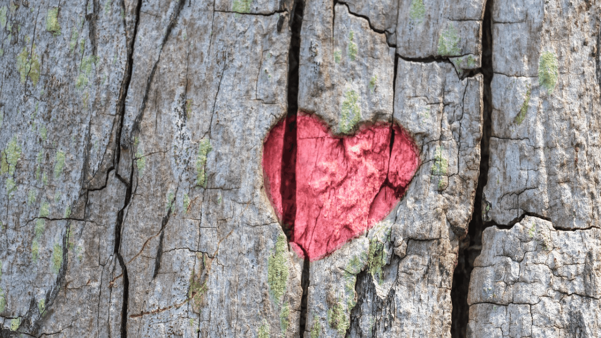 “A chi lo sa”, la poesia di Gesualdo Bufalino sull'impossibilità di definire l'amore
