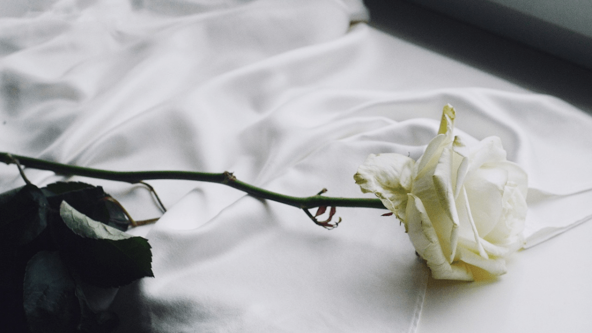 “Nulla due volte”, la poesia di Wisława Szymborska sull'unicità di ogni istante