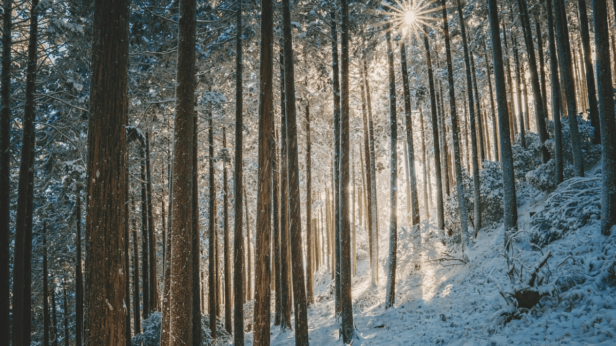 “Sonetto d'inverno”: la poesia di Ada Negri sull'amore che scalda il cuore