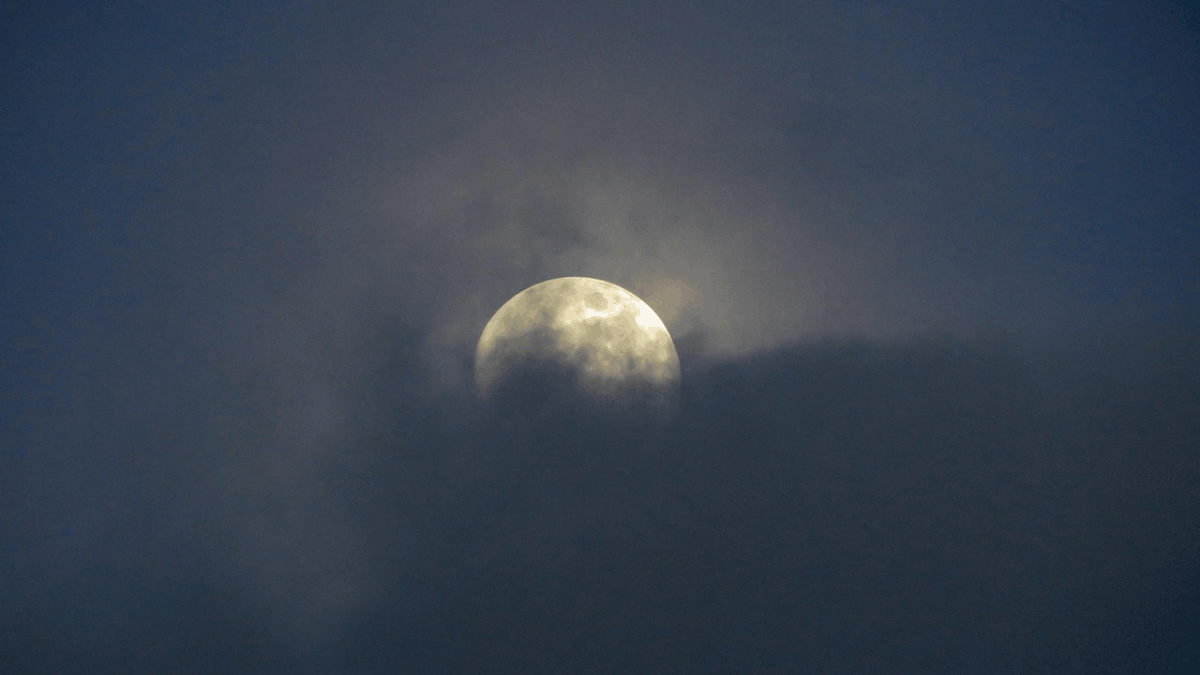 “Addio della luna”, la poesia di Ada Negri sull'inesorabilità del destino