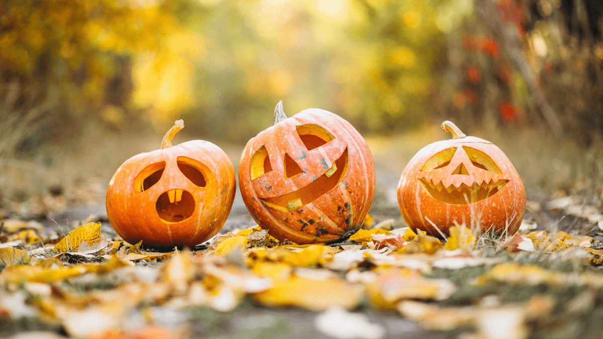 “Halloween”, la filastrocca di Elio Giacone su “streghe, zucche e mostri”