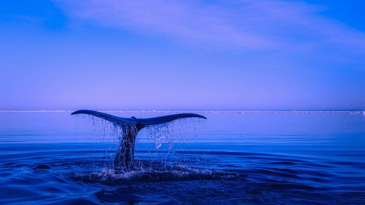 Il blu: il significato di un colore nel mondo dell'arte e della cultura