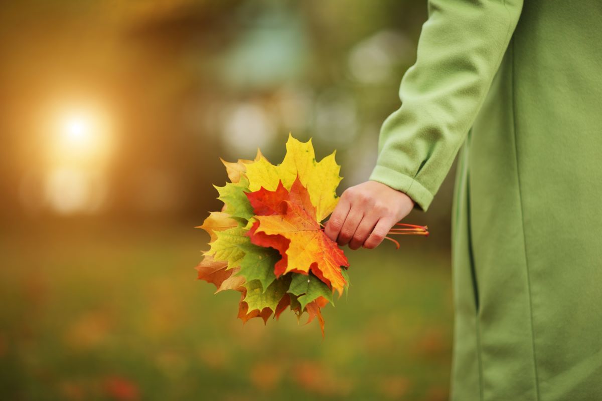“Se tu venissi in autunno” di Emily Dickinson: la poesia dell'attesa