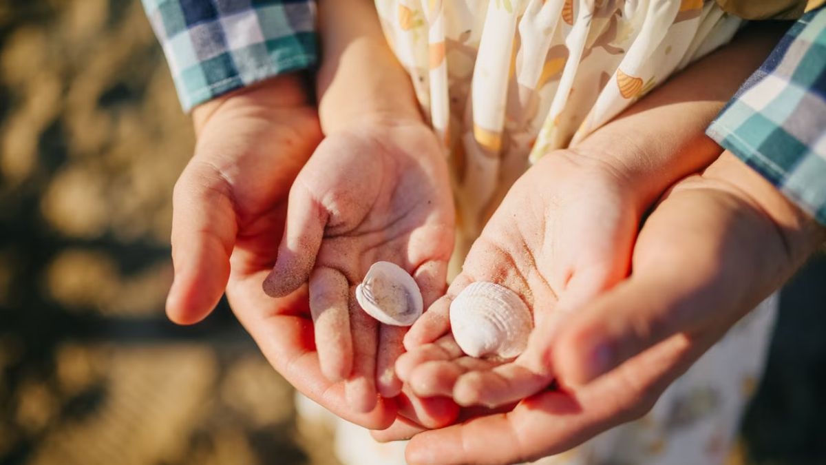 “La voce del mare” di Gianni Rodari: il legame speciale fra i bambini e il fantastico