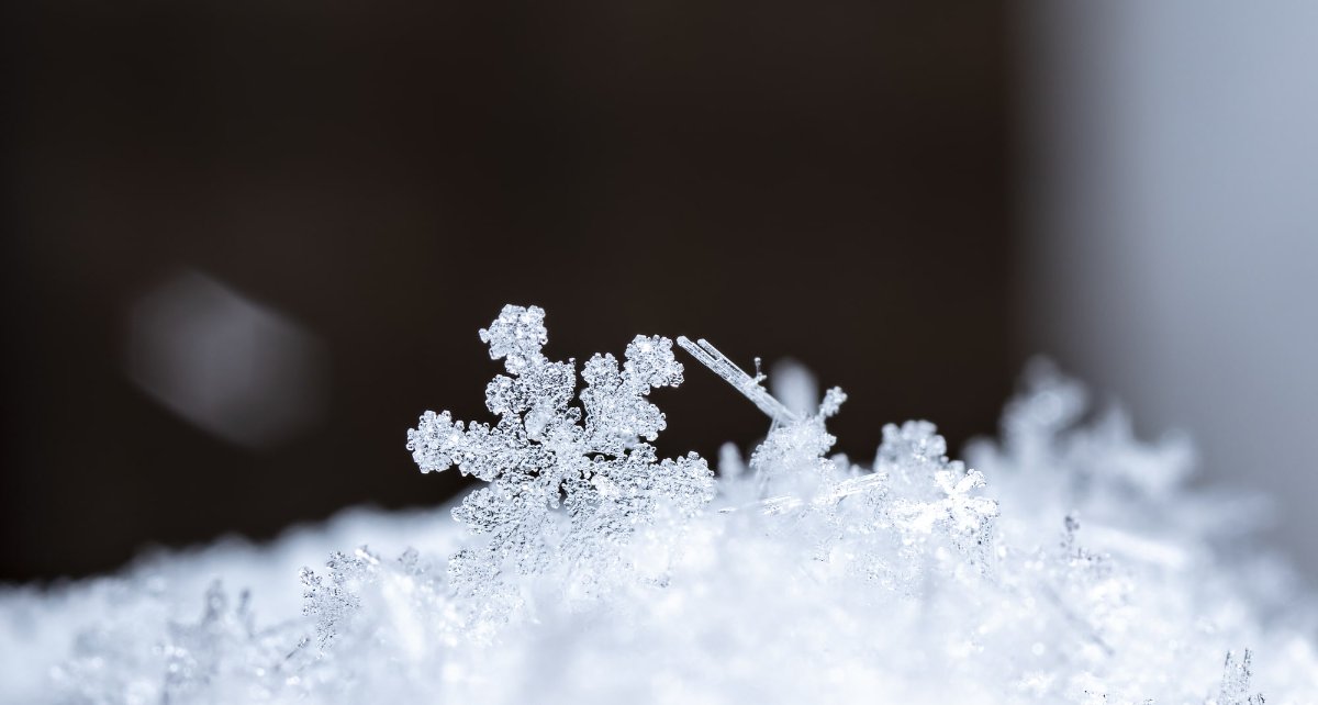 “Fior di neve” di Umberto Saba: la poesia dedicata alle meraviglie della natura e magia della neve