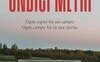 Undici metri