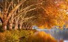 Canzone d'autunno: la poesia di Verlaine che annunciò lo sbarco in Normandia