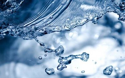 “L'acqua la insegna la sete”: testo e analisi della poesia di Emily Dickinson