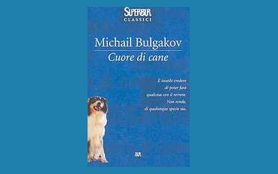 Cuore di cane