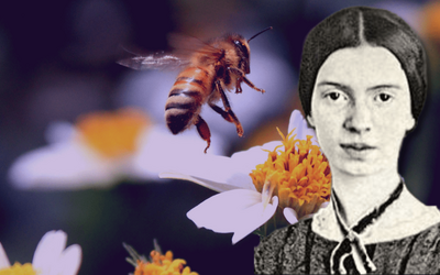 Emily Dickinson, la poetessa che parlava con le api