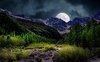 “La luna di settembre”: l'incanto di esistere nella poesia di Sandro Penna 