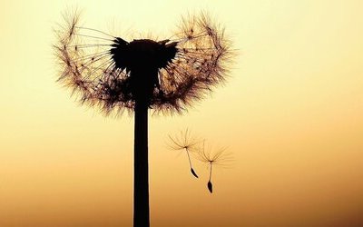 “Vento di prima estate”: la poesia allegorica di Giorgio Caproni 