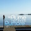 Le piume non fanno rumore