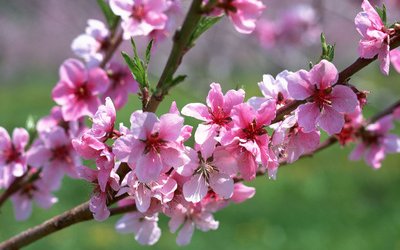 Arriva la Primavera, ecco i libri consigliati da InMondadori