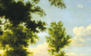 Sotto gli alberi