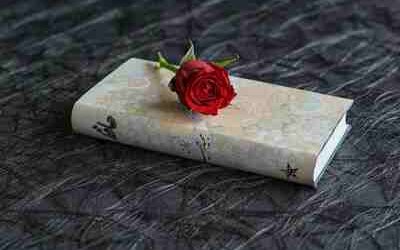 Premio Strega Poesia 2025: ecco i 12 libri candidati