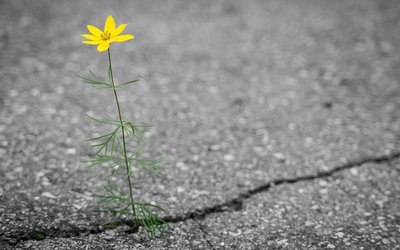Cos'è la resilienza? Caratteristiche delle persone resilienti