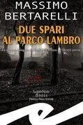 Due spari al Parco Lambro