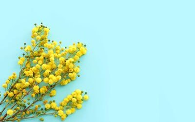 “Così schiava. Che roba!”: la poesia di Patrizia Cavalli per tutte le donne