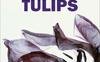 Black Tulips