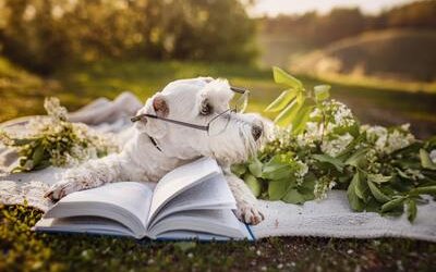 Scrittori e scrittrici che amavano i cani (e le loro storie)